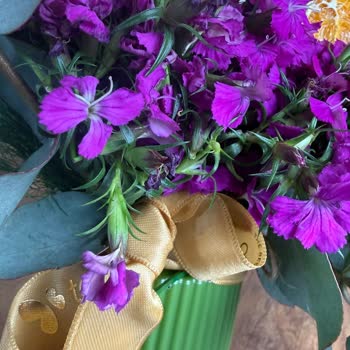 Doğum Günü Çiçeği Solmuş Ve Çözüm Sunulmadı