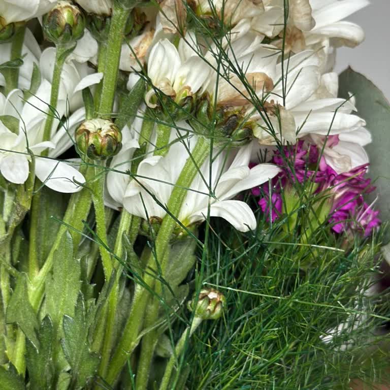 Doğum Günü Çiçeği Solmuş Ve Çözüm Sunulmadı