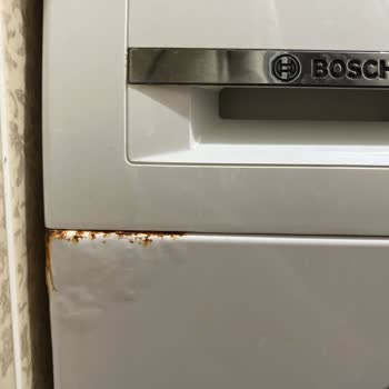 Bosch Çamaşır Makinesinin Ön Panelindeki Paslanma Ve Boya Kabarması İçin Değişim Talebi