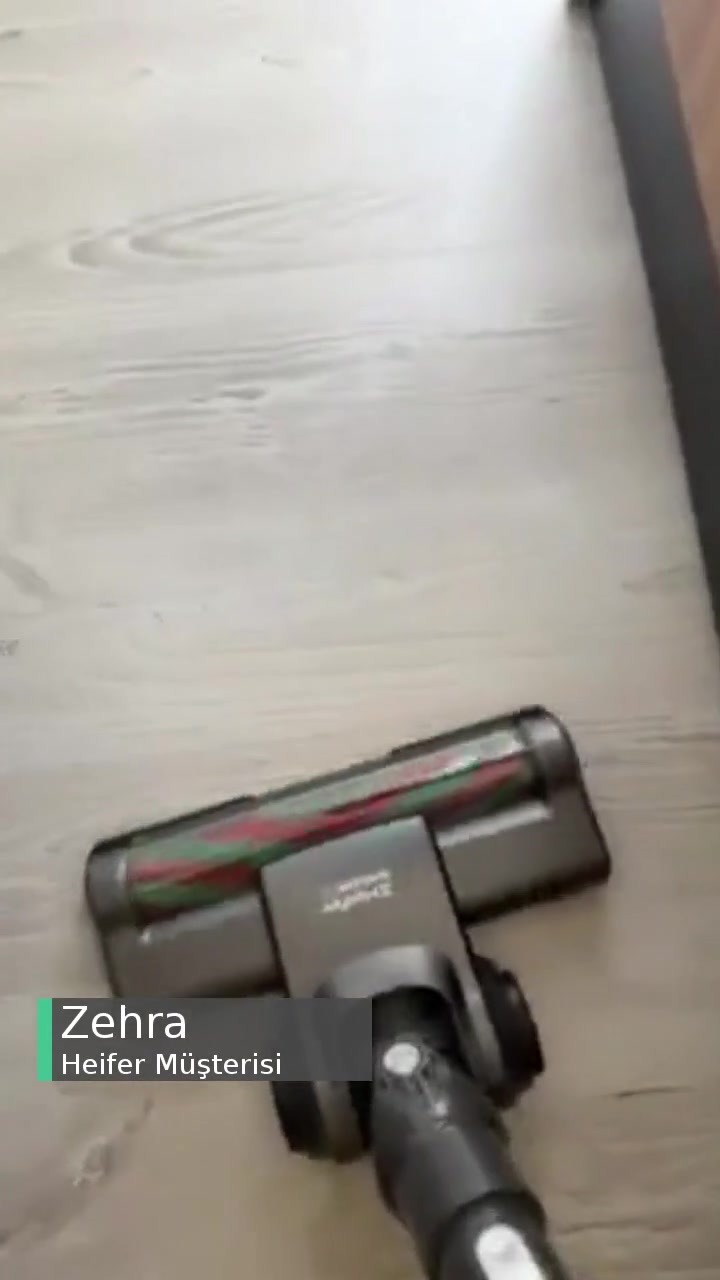 Heifer Dikey Süpürge Fırçası videonun kapak resmi