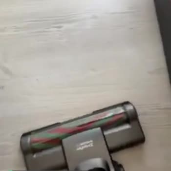 Heifer Dikey Süpürge Fırçası