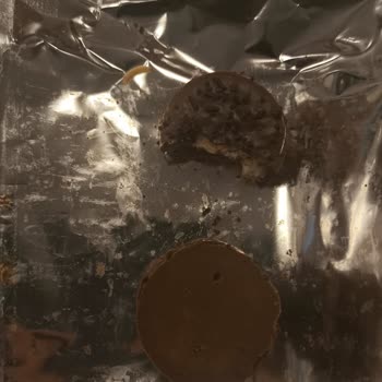 Ülker Halley Bisküvi İçinde Kurt Keşfi