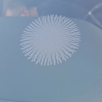 Citroen Ön Cam Üretim Hatası Görüşü Engelliyor, Ücretsiz Değişim Talep Ediyorum