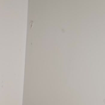 Su Sızıntıları Ve Garanti Dışı Satış Sonrası Destek Eksikliği