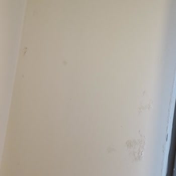 Su Sızıntıları Ve Garanti Dışı Satış Sonrası Destek Eksikliği