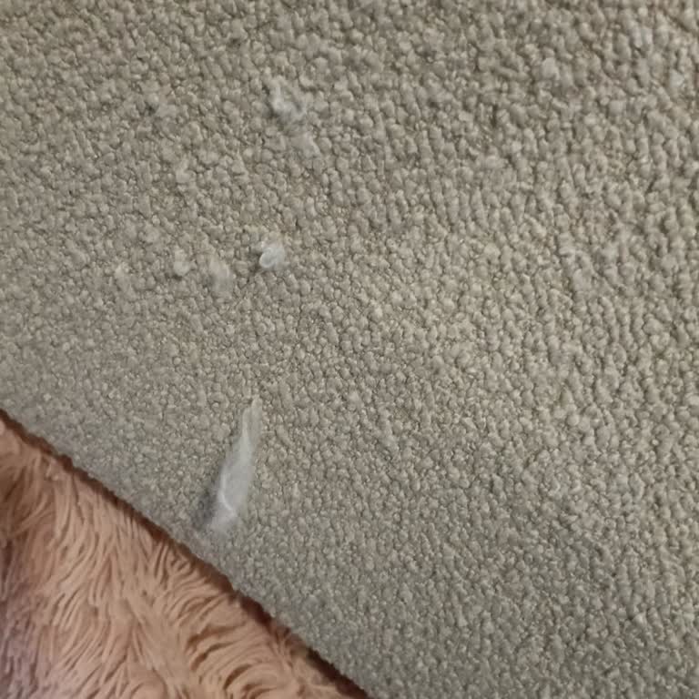 Doğtaş Mobilya Pati Dostu Olmadığı İddiası Ve Ücretsiz Kumaş Değişimi Talebi