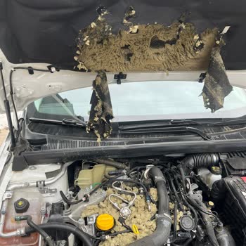 Renault Megane Joy Kaput İzolatörünün Garanti Kapsamında Değişimi Talep Ediliyor