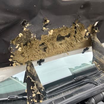 Renault Megane Joy Kaput İzolatörünün Garanti Kapsamında Değişimi Talep Ediliyor