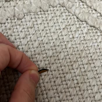 Dyson V15 Detect Kırılan Gövde İçin Garanti Kapsamında Sıfır Ürün Değişimi Talebi!