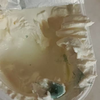 Torku Labne Peynirindeki Yeşil Parçalar Çocuklarımın Sağlığını Tehlikeye Attı