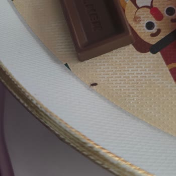 Ülker Çikolatasında Böcek Görülmesi Sağlık Ve Hijyen Endişesi