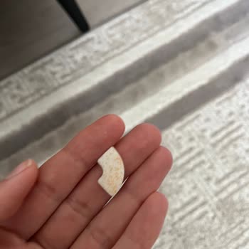 Nestlé Anne Bebek Gerber Organic Şikayeti