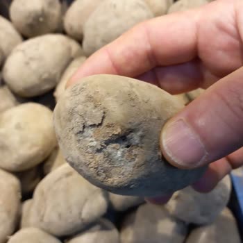 Bozulmuş Sebze Ve Meyve Ürünleri Hijyen Endişesi Yarattı