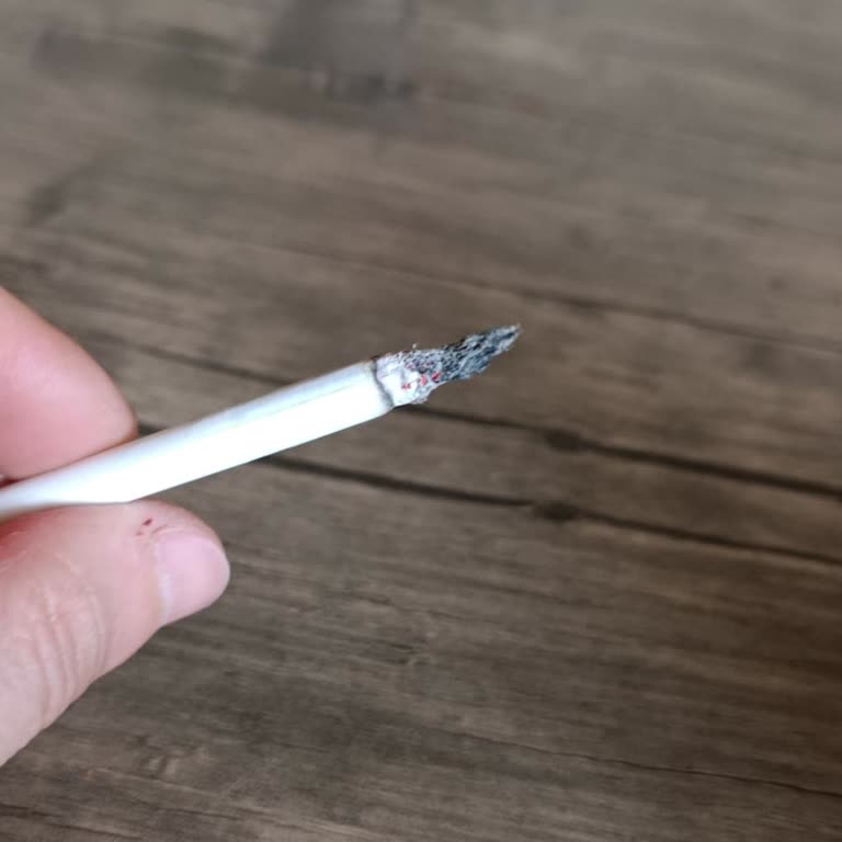 Marlboro Touch Blue’da Tütüne Benzemeyen Ağaç Parçaları Sorunu