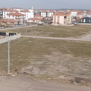 Aksaray Mahallesinde Başıboş Köpekler Çocukların Okul Yolunu Tehlikeye Atıyor