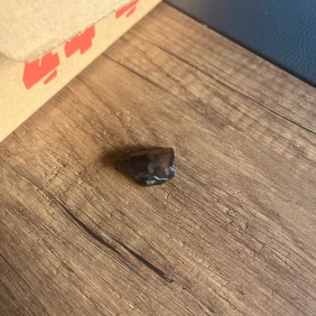 Plastik Parça İçeren Pizza Ve Eksik Kola: Gıda Güvenliği Ve İletişim Sorunu