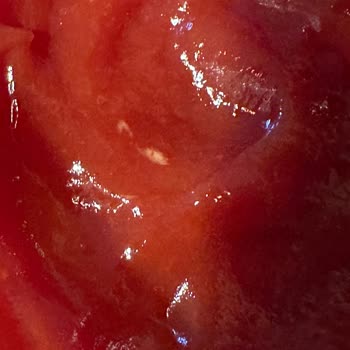 Calve Ketçapta Bilinmeyen Beyaz Yabancı Madde Sağlık Ve Hijyen Endişesi