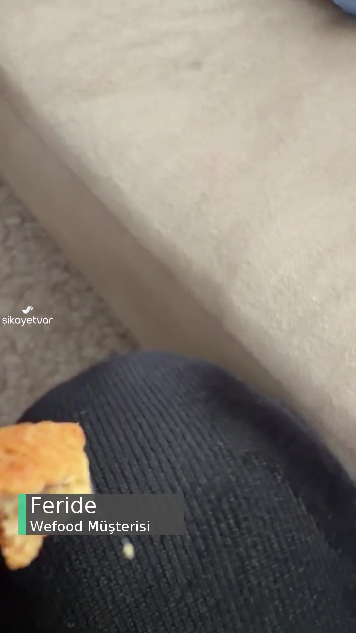 Wefood Üründen Kıl Tarzı Bişi Çıktı videonun kapak resmi