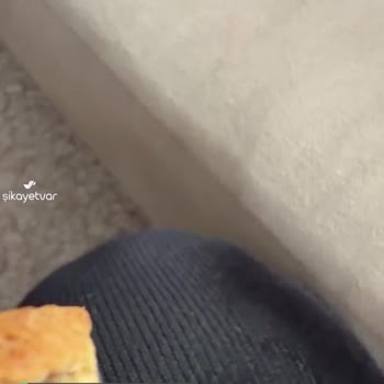 Wefood Üründen Kıl Tarzı Bişi Çıktı