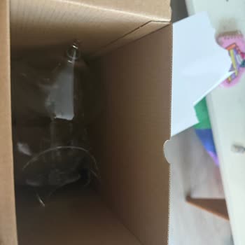 Kırık Kadehler Ve Cevapsız Müşteri Hizmetleri