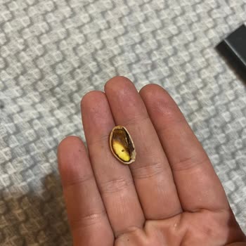 Amigo Markalı Antep Fıstığında Bayatlık Ve Boşluk Şikayeti