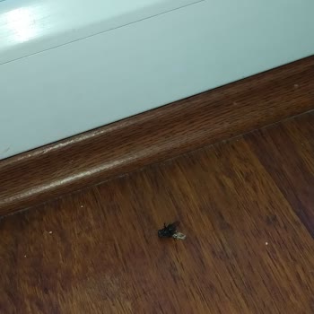 Gardan Hotel Beylikdüzü'nde Yaşanan Elektrik Kesintisi Ve Hijyen Sorunları