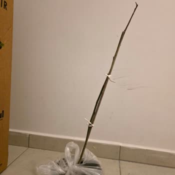 Fidan İstanbul Yanıltıcı Görseller Nedeniyle Yanlış Ürün Gönderimi Ve İade Talebi