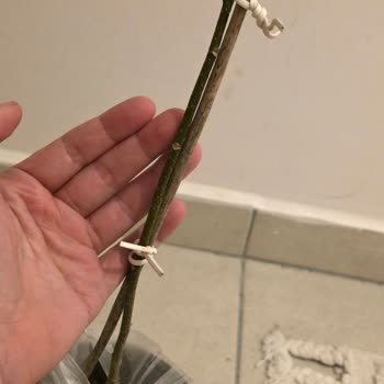 Fidan İstanbul Yanıltıcı Görseller Nedeniyle Yanlış Ürün Gönderimi Ve İade Talebi