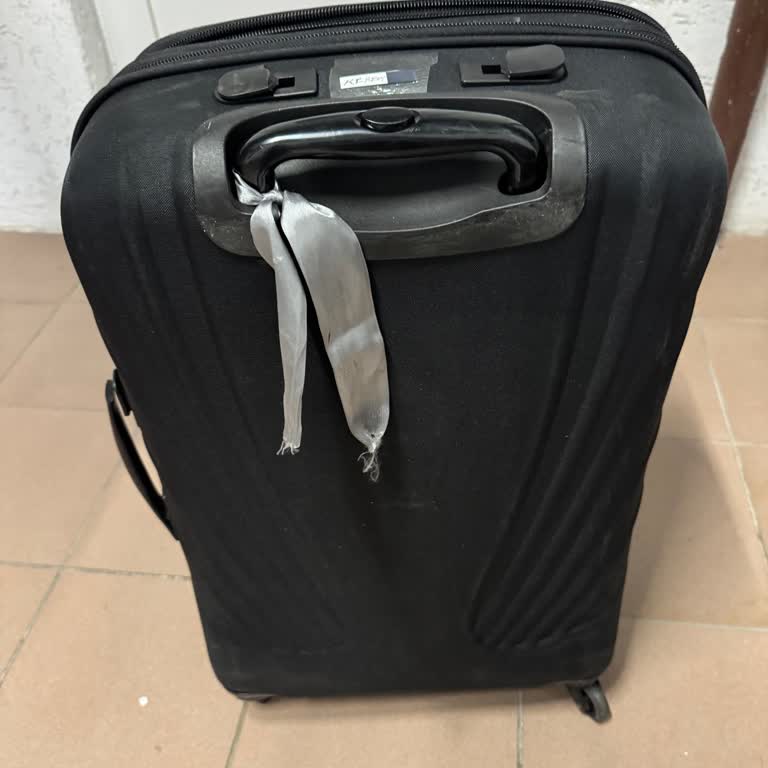 Karıştırılmış Bagajda Kayıp Eşyalar Ve Pegasus’un Sorumluluk Reddi