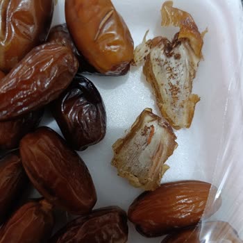 Hurmadaki Kurtlar Nedeniyle Ücret İadesi