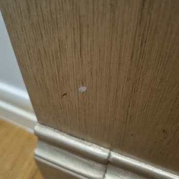 Ayıplı Şifoniyer Ürünü İçin İade Ve Geri Ödeme Talebi, Müşteri Hizmetleri İhmali