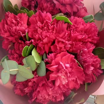 Solmuş Çiçek Ve Cevapsız Müşteri Hizmeti Nedeniyle İade Talebi