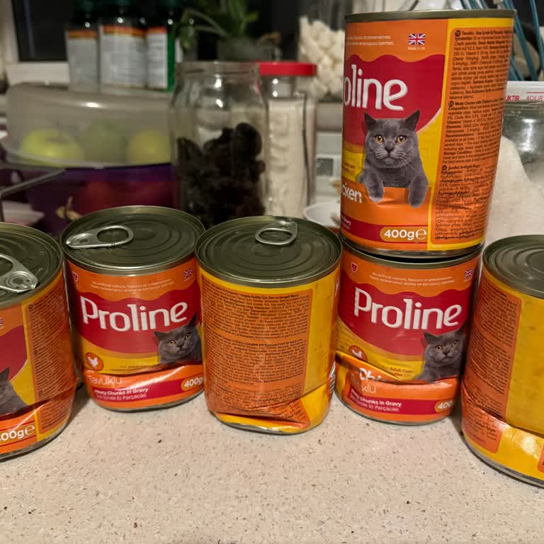 Kırık Ve Açılmış Konserve, Kötü Koku Ve Umursamaz Müşteri Hizmeti