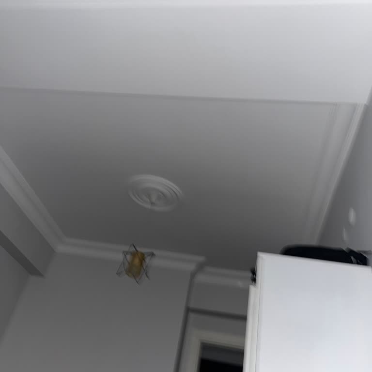 Denizköşkler Mahallesi’nde Sürekli Uzun Süreli Elektrik Kesintileri Ve Çözüm Talebi