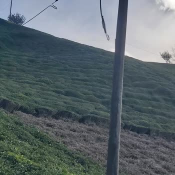 Kırık İnternet Kablosu Nedeniyle 1 Aylık Kesinti Ve Haksız Fatura