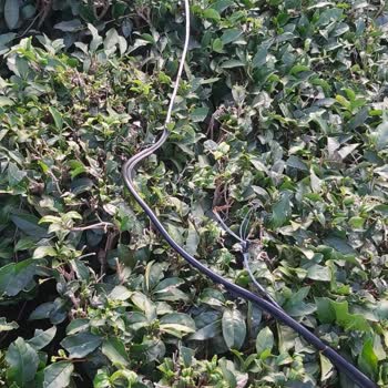 Kırık İnternet Kablosu Nedeniyle 1 Aylık Kesinti Ve Haksız Fatura