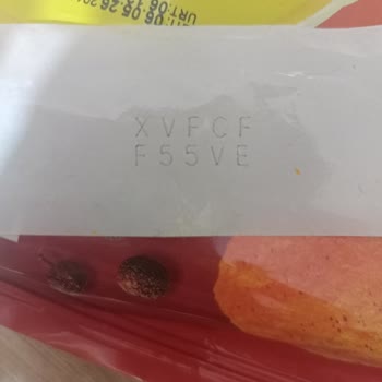 Yeni Alınan Cips'te Kampanya Kodu Kullanılamıyor Ve Güvensizlik Yaşadım