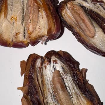 Açık Hurma İçinde Kurt Tespiti Ve Hijyen Şikayeti