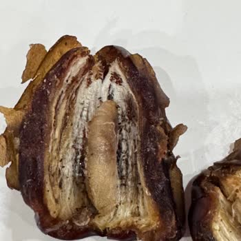 Açık Hurma İçinde Kurt Tespiti Ve Hijyen Şikayeti