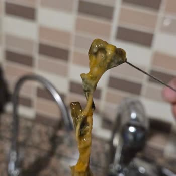 Tamek Kayısı Nektarında Jelatimsi Maddeler Bulunması Sağlık Endişesi