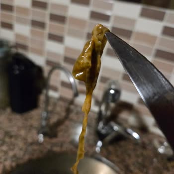 Tamek Kayısı Nektarında Jelatimsi Maddeler Bulunması Sağlık Endişesi