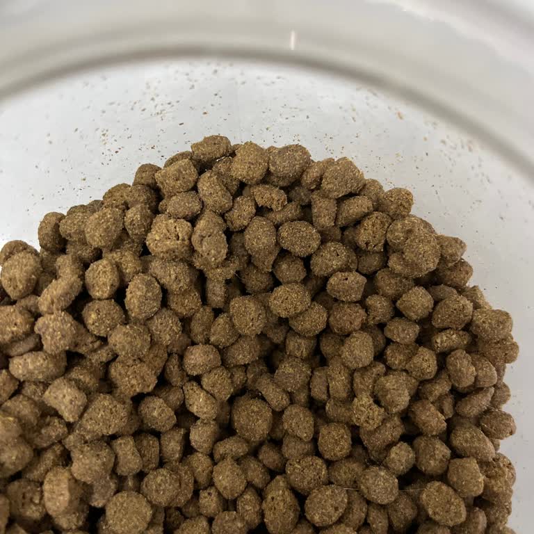 Kedimde Kusmaya Neden Olan Bayat Mamaya İade Ve İnceleme Talebi