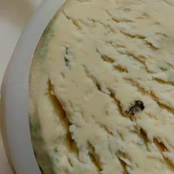 Altın Yörem Süt Ürünleri'nden Bozuk Peynir Ve Tarih Bilgisi Eksikliği