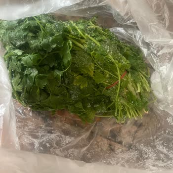 Garanti Kapsamındaki Buzdolabımda Buz Birikmesi Ve Servis Yanıtsızlığı