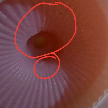 Silikon Kalıpların Kusurlu Olması Ve 14 Gün İade Hakkının Reddedilmesi