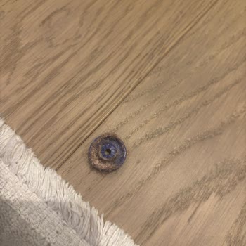 Dyson V16 Dikey Süpürge Tekerlek Sorunu Ve Saç Birikmesi Nedeniyle Zemin Çizilmesi