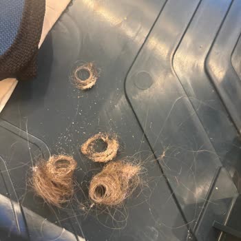 Dyson V16 Dikey Süpürge Tekerlek Sorunu Ve Saç Birikmesi Nedeniyle Zemin Çizilmesi