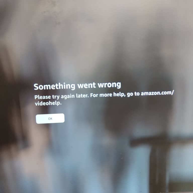 Kusurlu Projeksiyon İçin Tekrarlanan İade Reddi Ve İade Hakkının İhlali