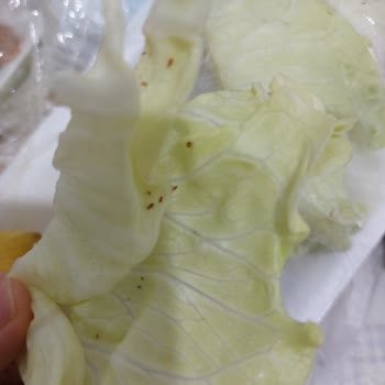 Marulda Böcekler, Hijyen İhlali Ve İade Reddi