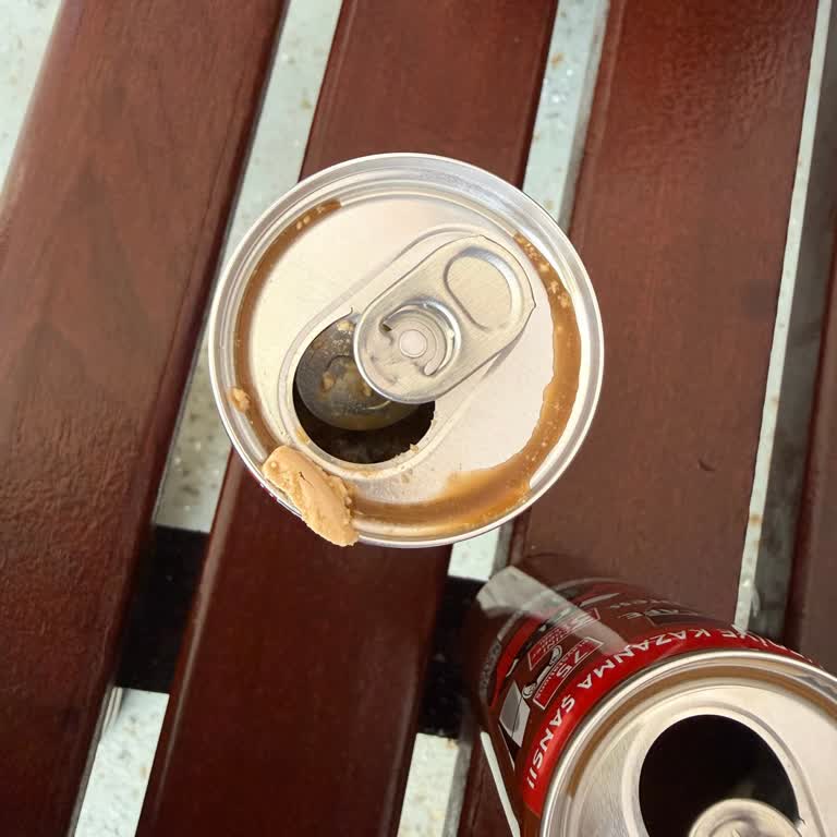 Nescafe Xpress Vanilyalı Kahvede Hijyen Aksaklığı Ve Yabancı Madde Bulgusu